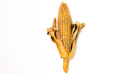 Beef Up, Go Green